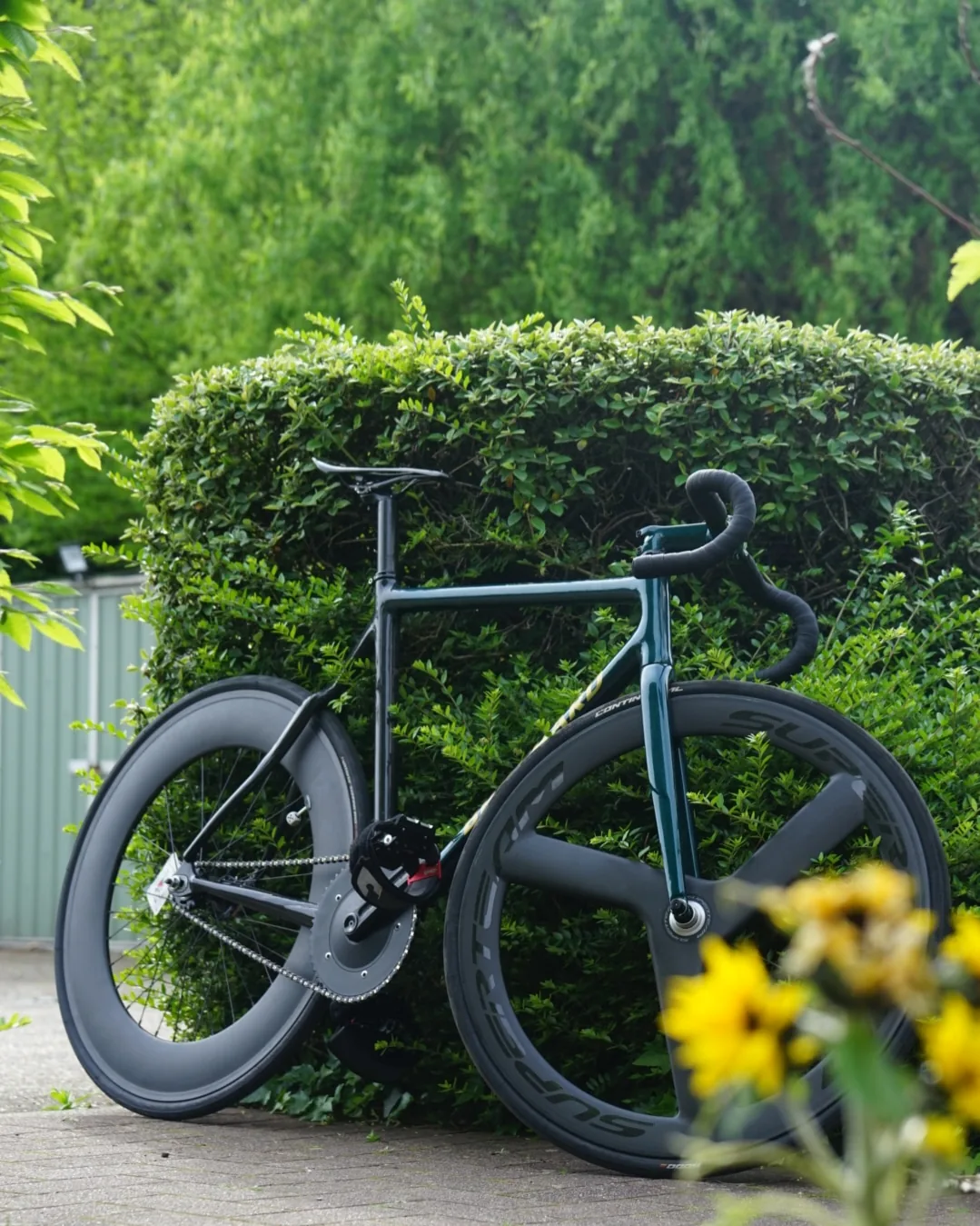 Donkergroene baanfiets met dichte wielen voor een haag